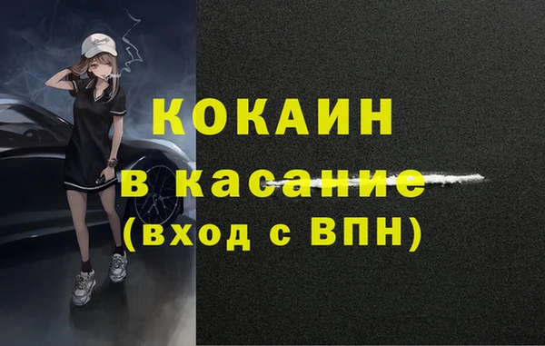 шишки Нефтегорск