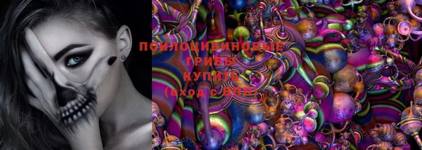 меф Няндома