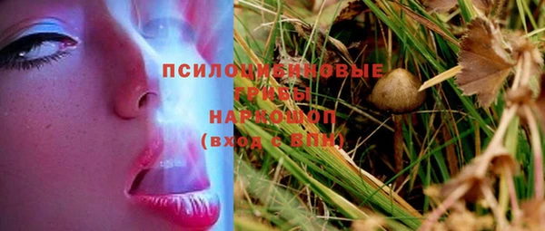 меф Няндома