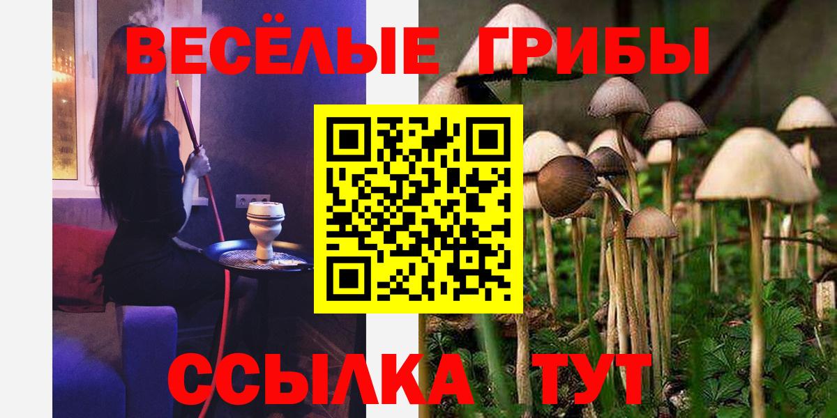 Псилоцибиновые грибы GOLDEN TEACHER  Псилоцибиновые грибы Psilocybe  Вход с VPN  Кашира 